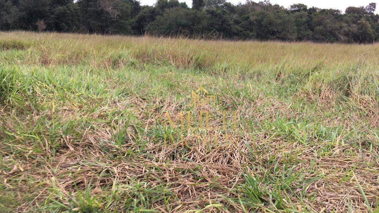 Fazenda à venda, 3150000M2 - Foto 7