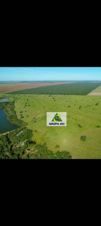 Fazenda-Sítio-Chácara, 12000 hectares - Foto 4