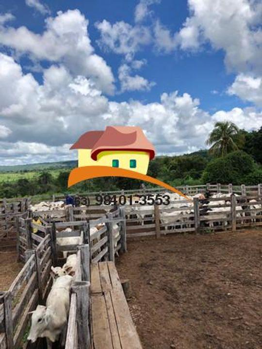 Fazenda à venda, 1m² - Foto 15