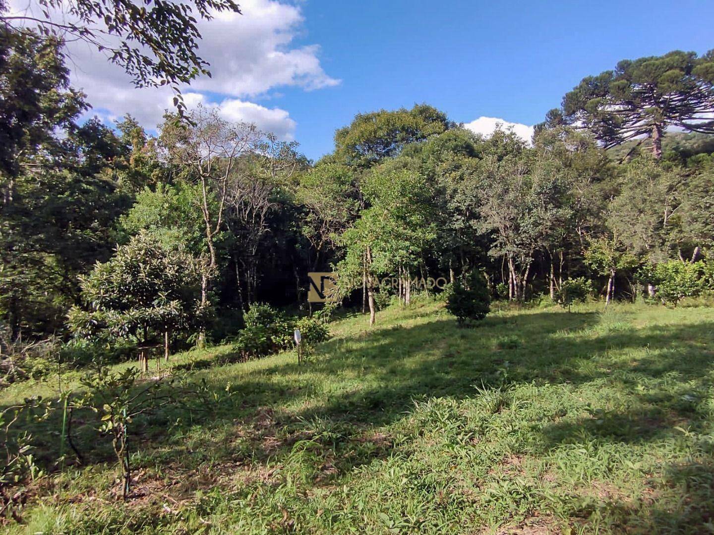 Terreno à venda, 750M2 - Foto 5