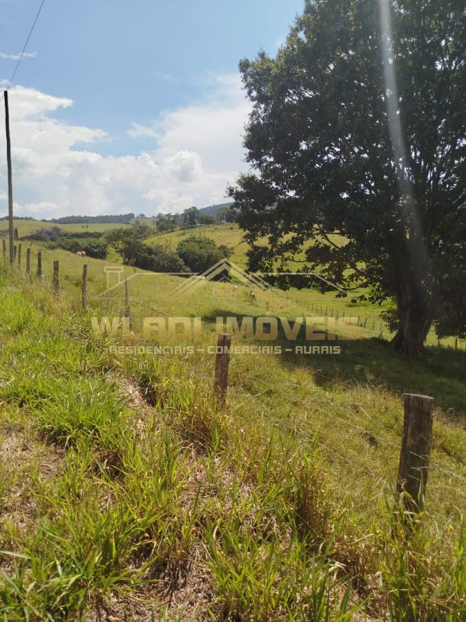 Sítio à venda, 18m² - Foto 10