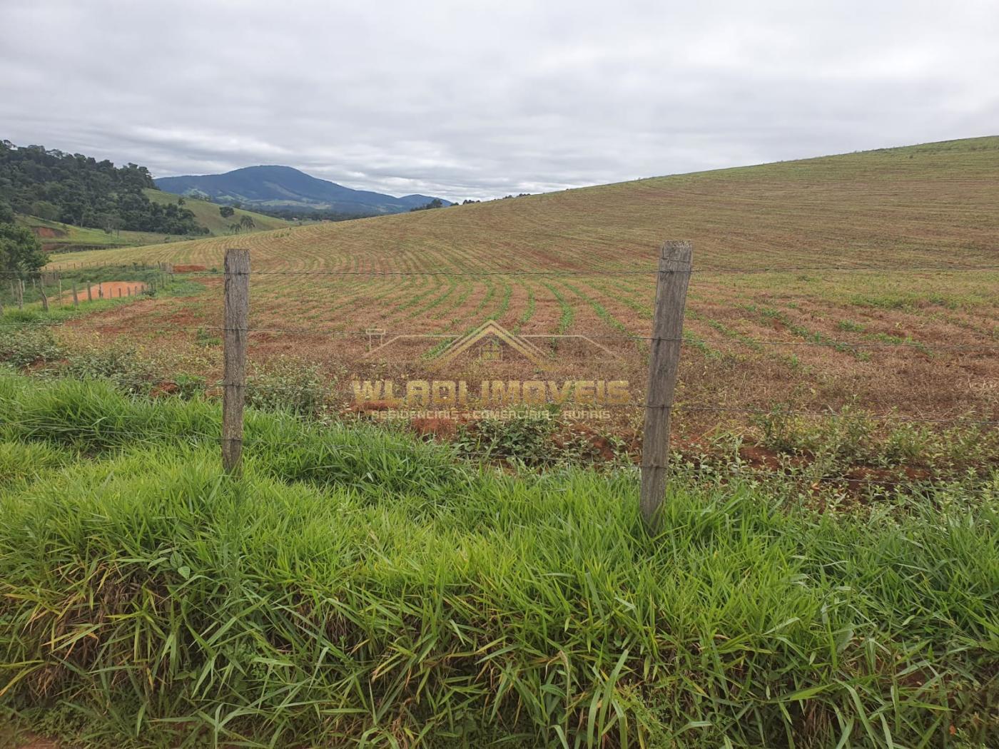 Fazenda à venda, 150m² - Foto 13