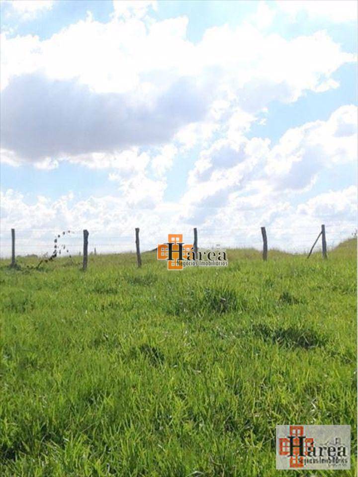 Terreno à venda, 178410M2 - Foto 3