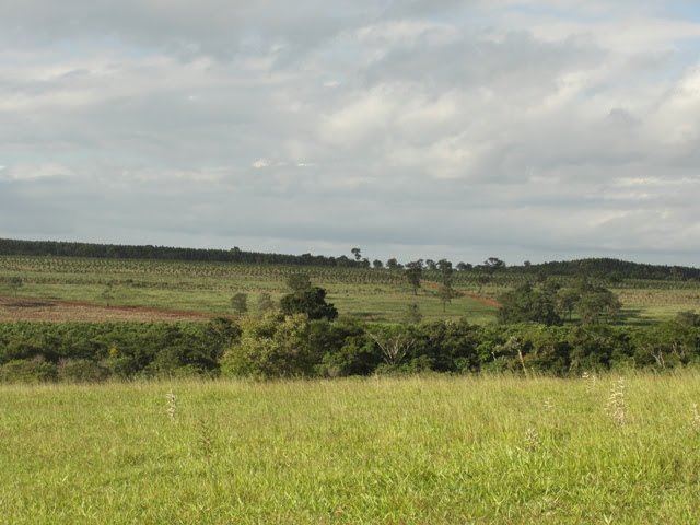 Fazenda à venda, 170m² - Foto 4