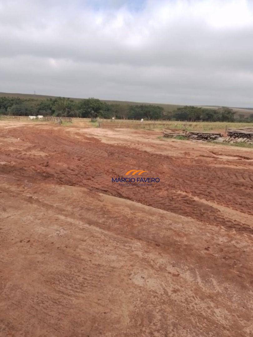 Fazenda, 1099 hectares - Foto 5