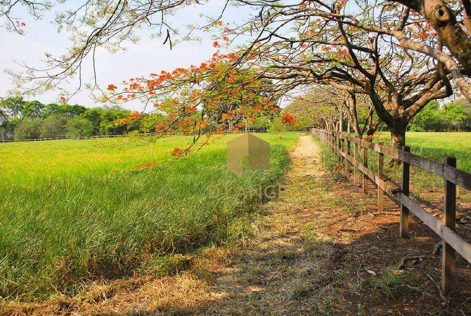 Loteamento e Condomínio à venda, 493M2 - Foto 29