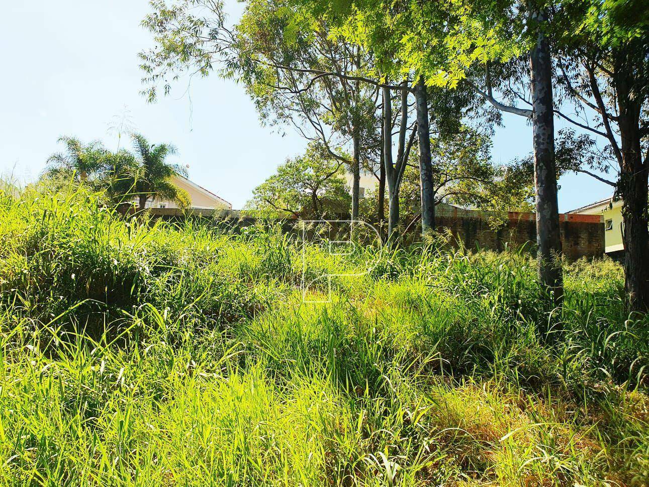 Loteamento e Condomínio à venda, 516M2 - Foto 4