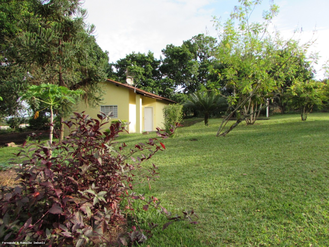 Chácara à venda com 6 quartos, 6000m² - Foto 26