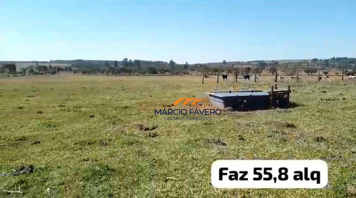 Fazenda, 135 hectares - Foto 5