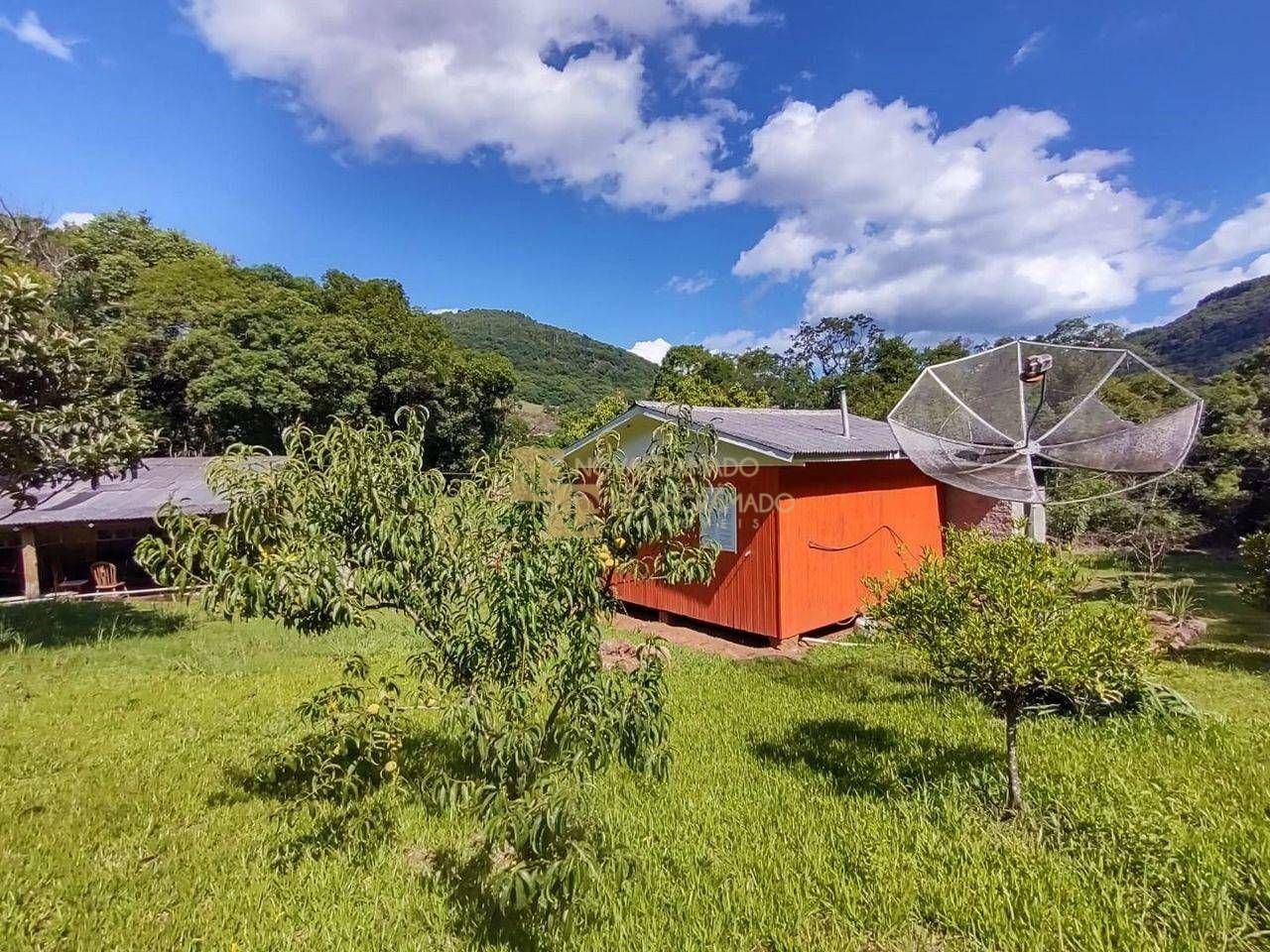 Sítio à venda com 2 quartos, 30000M2 - Foto 4