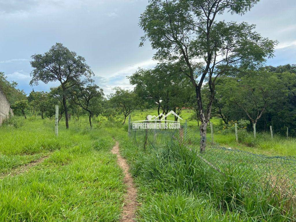 Terreno, 1 hectares - Foto 5