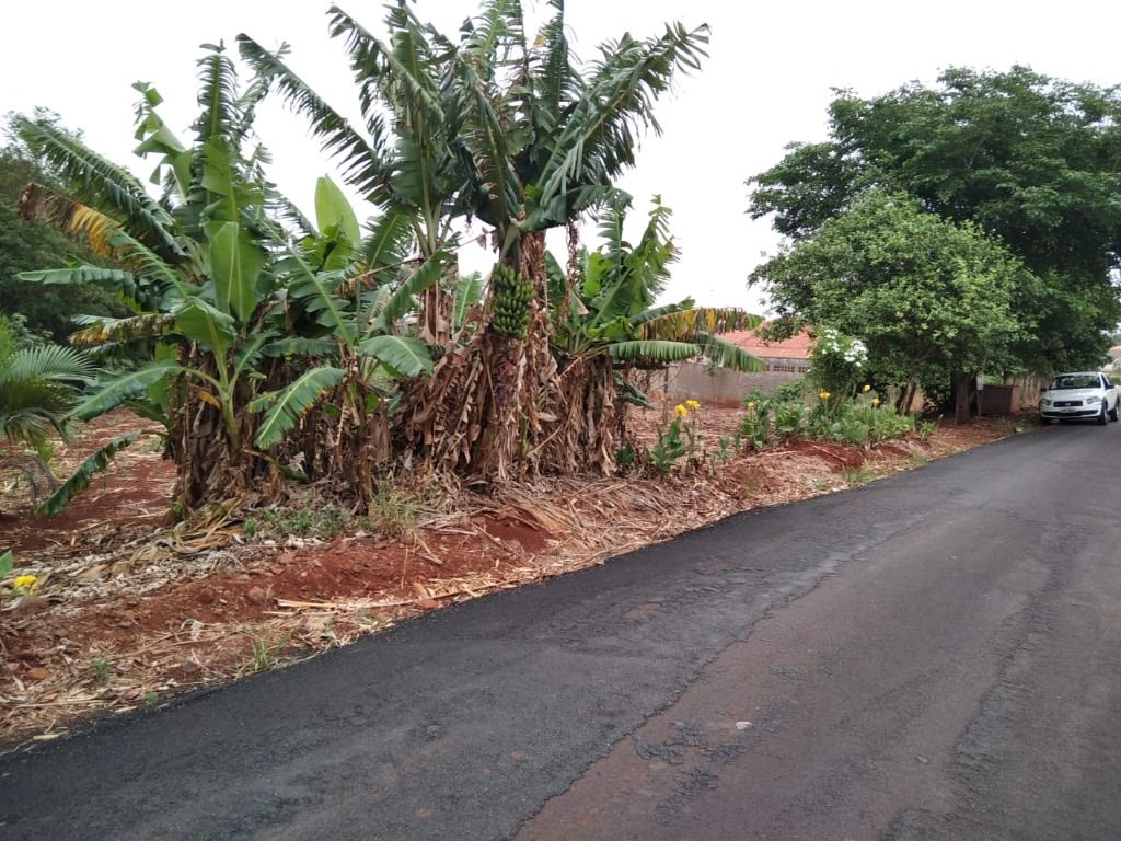 Chácara à venda com 1 quarto, 1390M2 - Foto 1