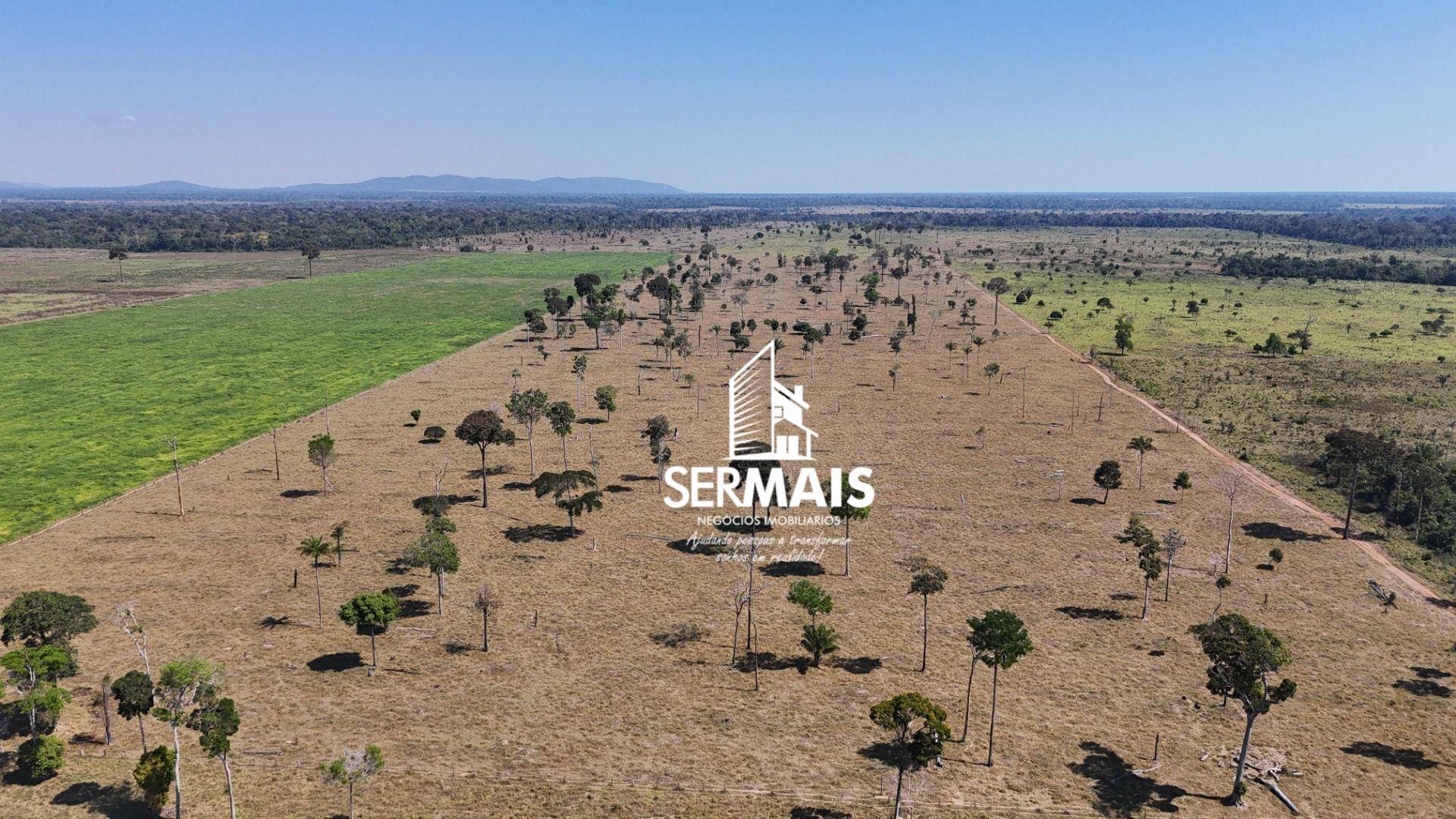 Fazenda-Sítio-Chácara, 2 hectares - Foto 3