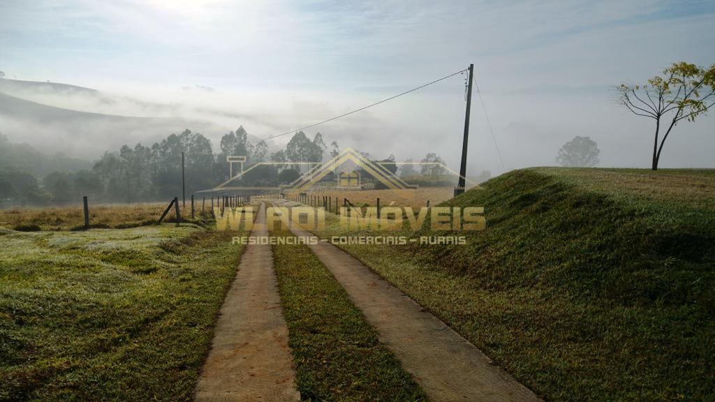 Fazenda à venda com 3 quartos, 52000m² - Foto 37