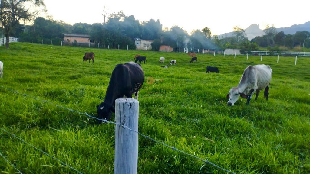 Fazenda à venda com 2 quartos, 90000m² - Foto 17