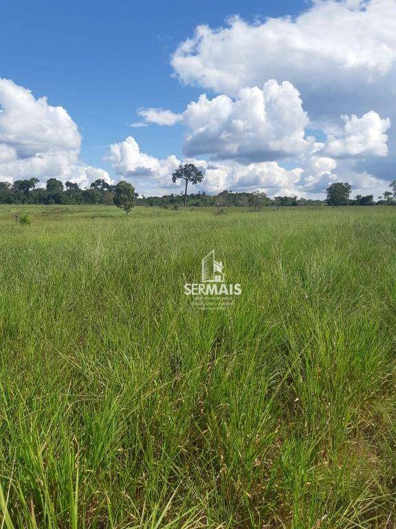 Fazenda à venda com 1 quarto, 14520000M2 - Foto 5