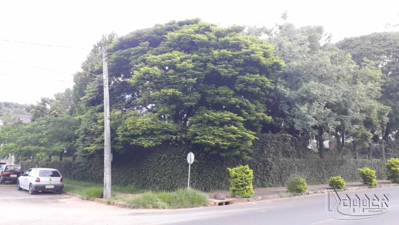 Terreno à venda - Foto 1