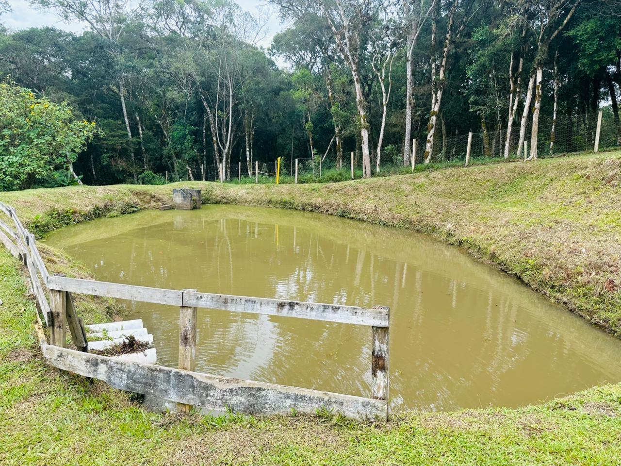 Fazenda à venda com 3 quartos, 8000m² - Foto 45