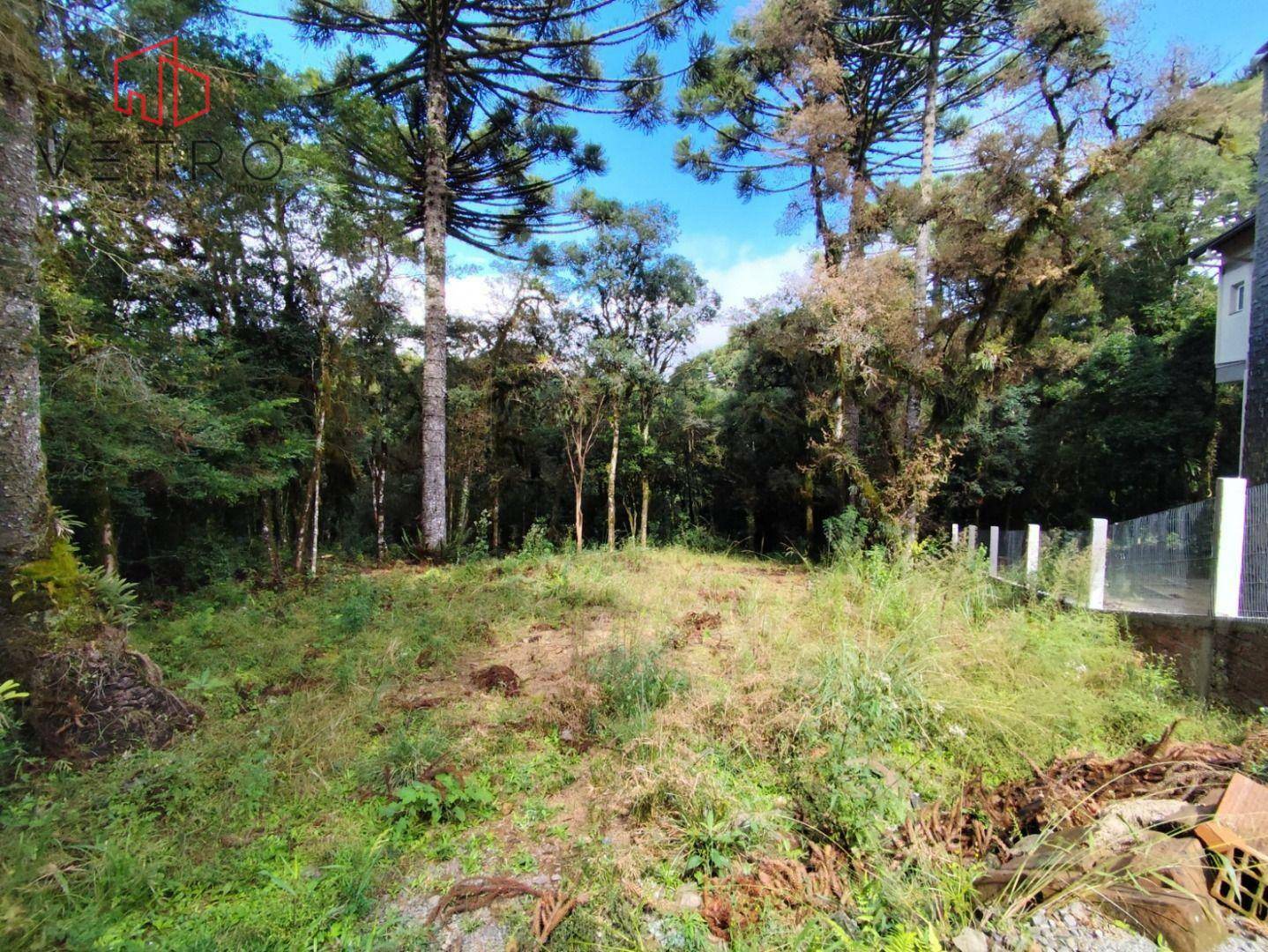 Loteamento e Condomínio à venda, 550M2 - Foto 3