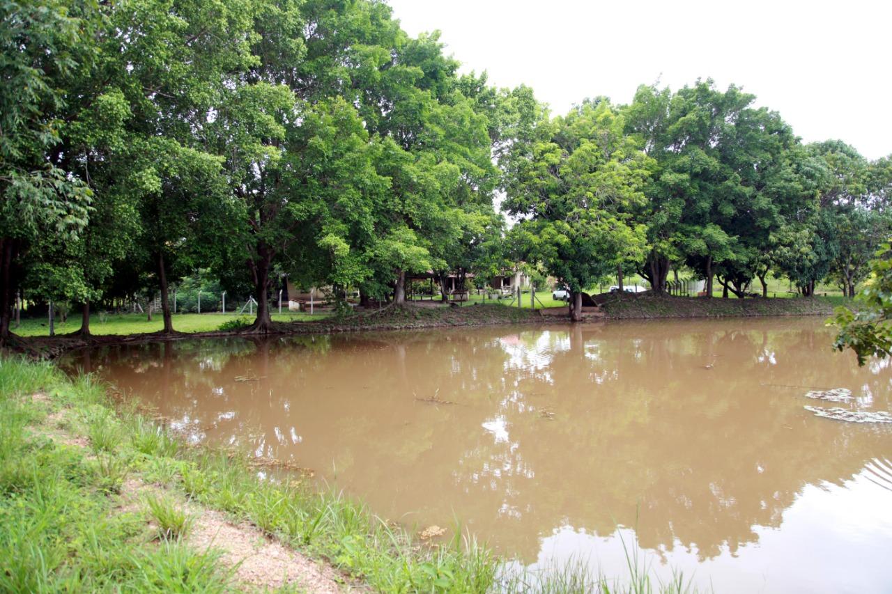 Chácara à venda com 3 quartos, 30000m² - Foto 41