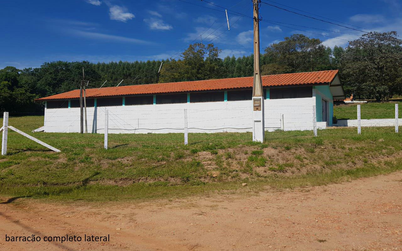Sítio à venda com 7 quartos, 16600m² - Foto 3