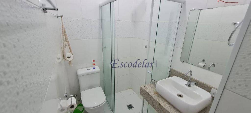 Sítio à venda com 3 quartos, 217800M2 - Foto 19