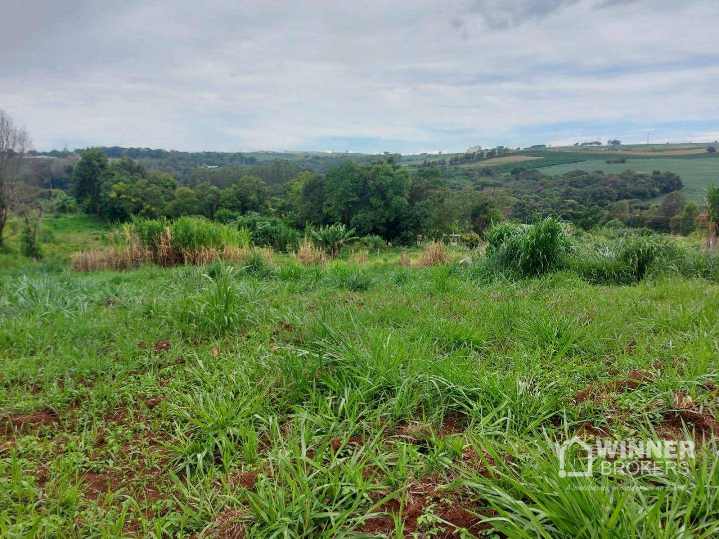 Sítio à venda com 1 quarto, 31400M2 - Foto 2