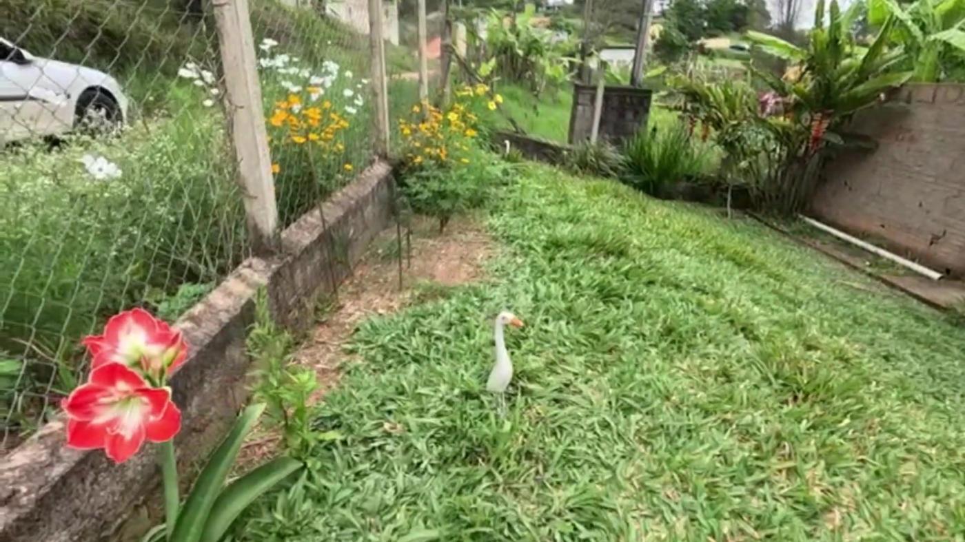 Chácara à venda com 3 quartos, 1000m² - Foto 5