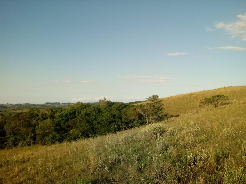 Loteamento e Condomínio à venda, 30000m² - Foto 3