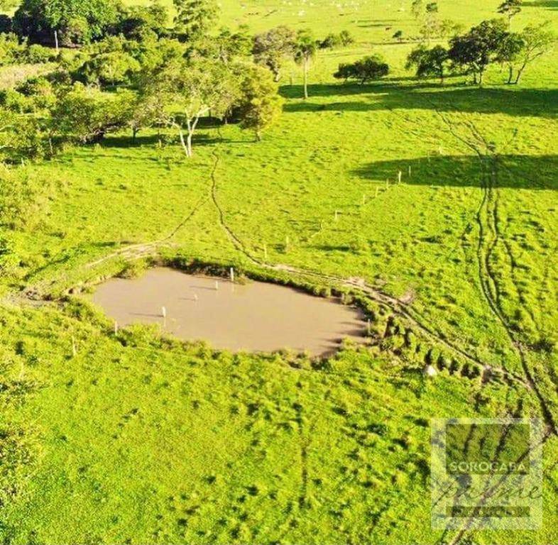 Fazenda à venda, 6050000M2 - Foto 8