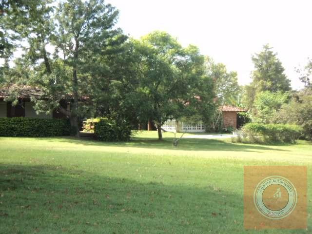 Sítio à venda com 3 quartos, 40000m² - Foto 9