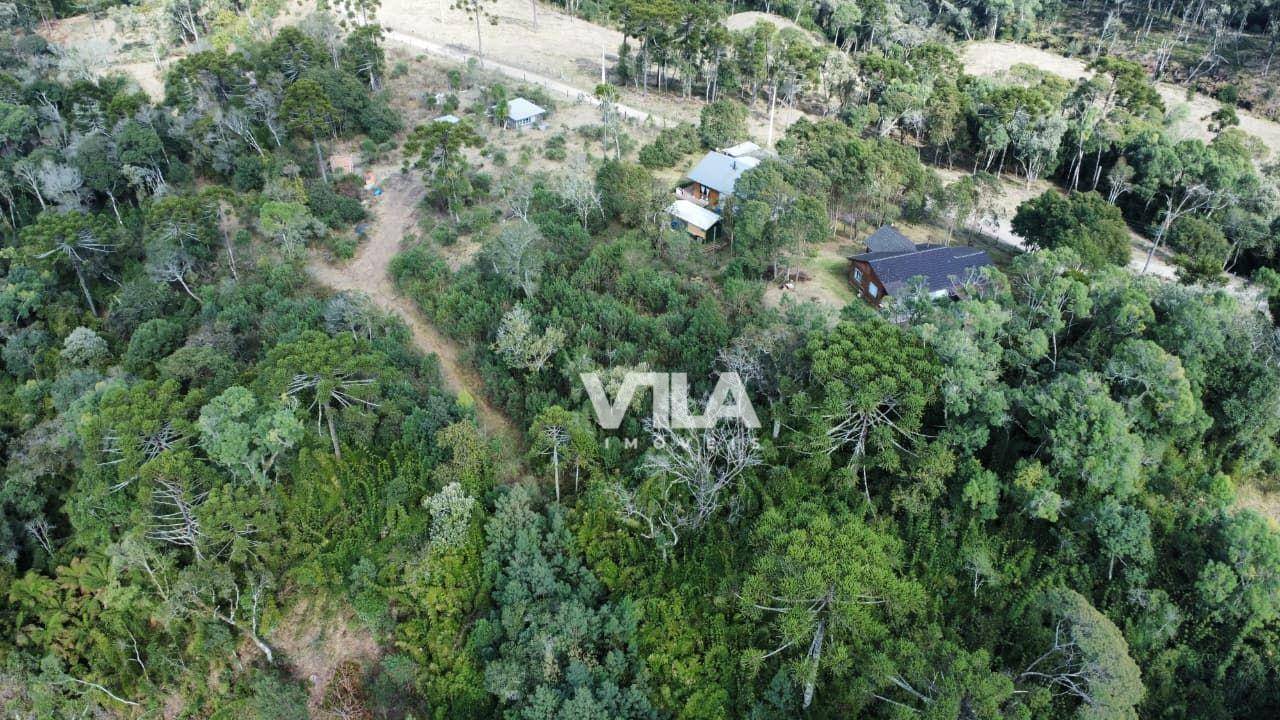 Terreno, 3 hectares - Foto 6