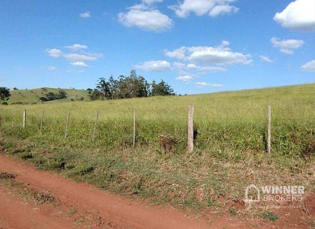 Fazenda à venda com 2 quartos, 2299000M2 - Foto 12