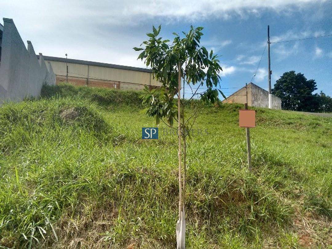 Terreno à venda, 360M2 - Foto 3