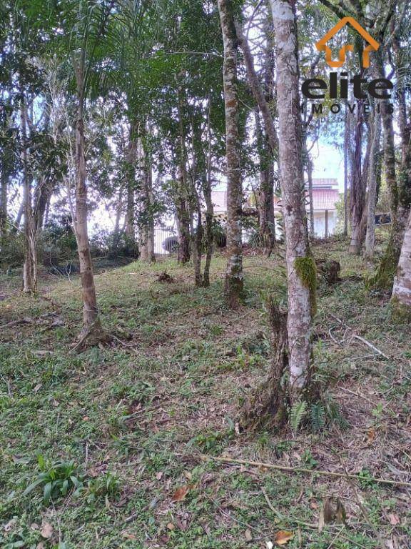 Terreno, 2494 m² - Foto 4