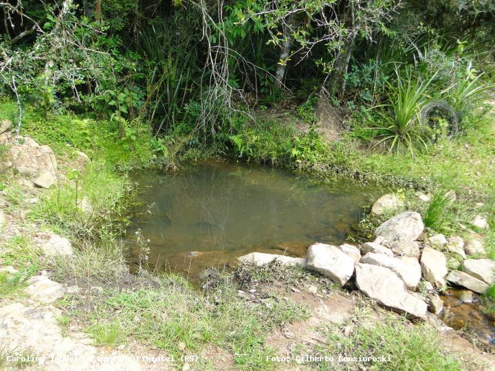 Fazenda à venda com 3 quartos, 160000m² - Foto 11