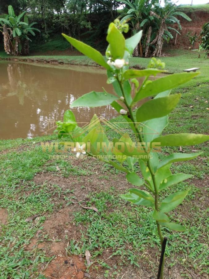 Fazenda à venda com 3 quartos, 50000m² - Foto 18