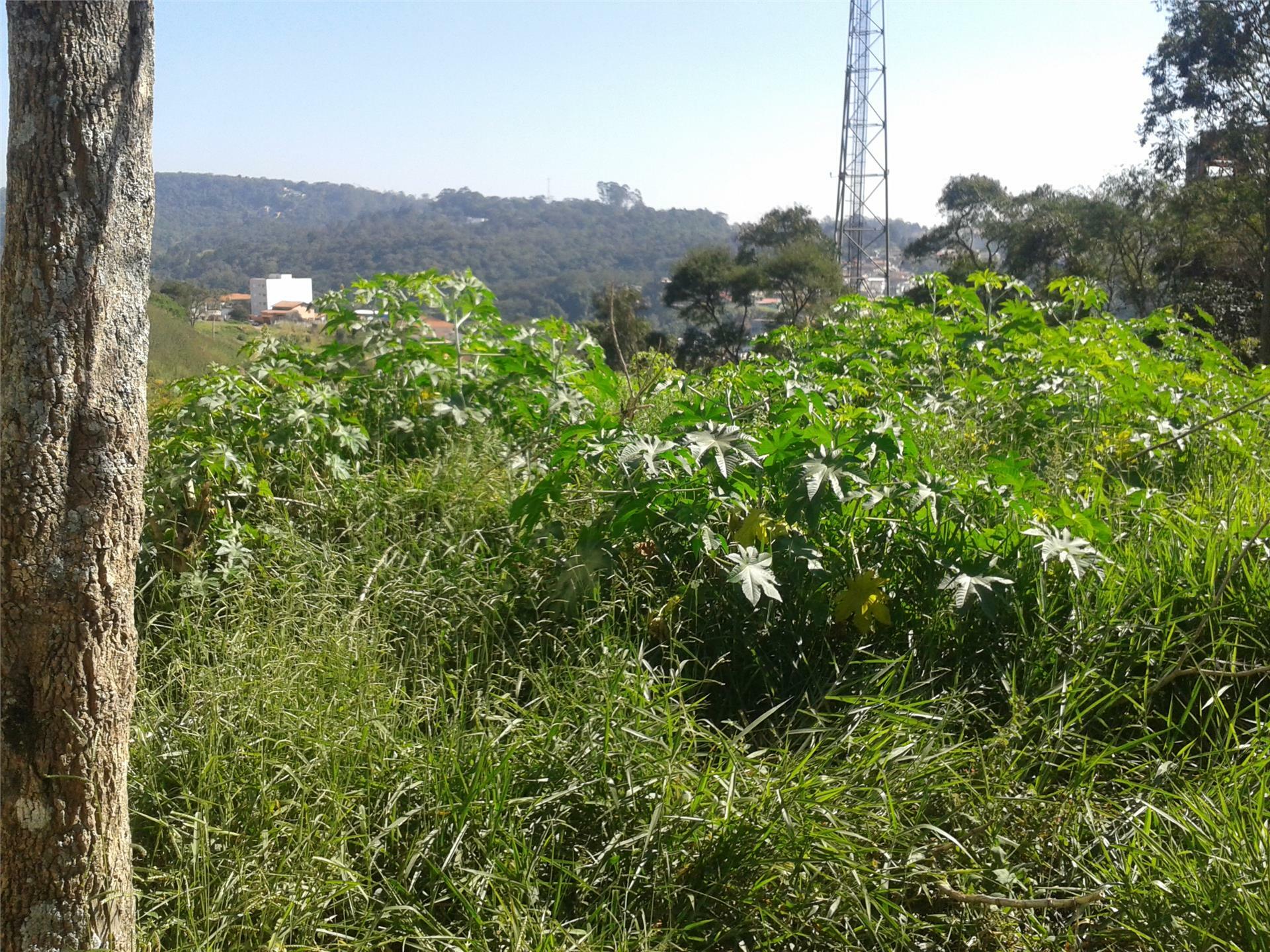 Terreno à venda e aluguel, 1942M2 - Foto 3