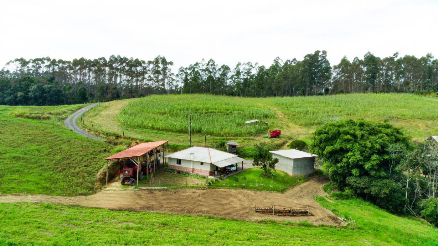 Fazenda à venda com 3 quartos, 205000m² - Foto 14