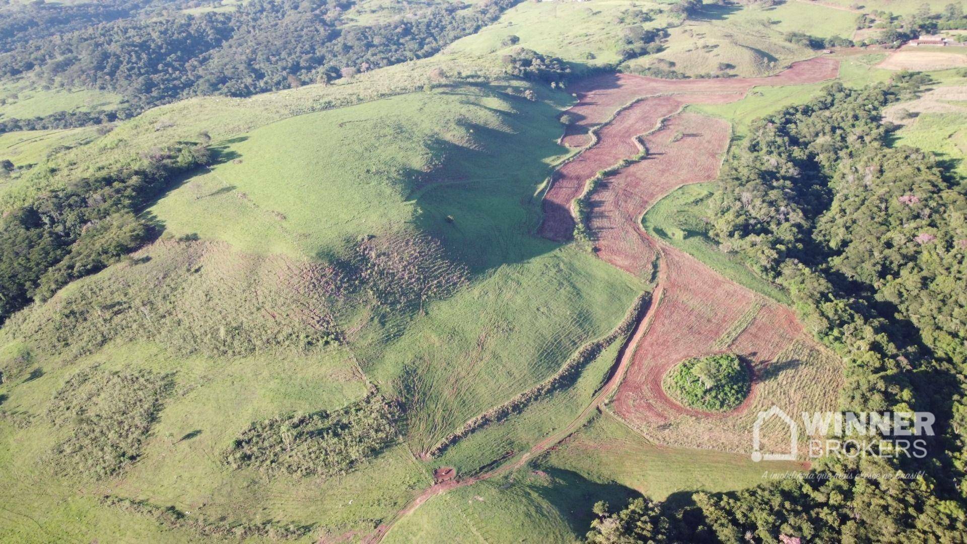 Fazenda à venda com 6 quartos, 600m² - Foto 5