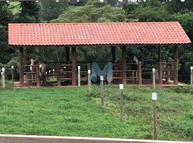 Chácara à venda com 2 quartos, 140m² - Foto 13