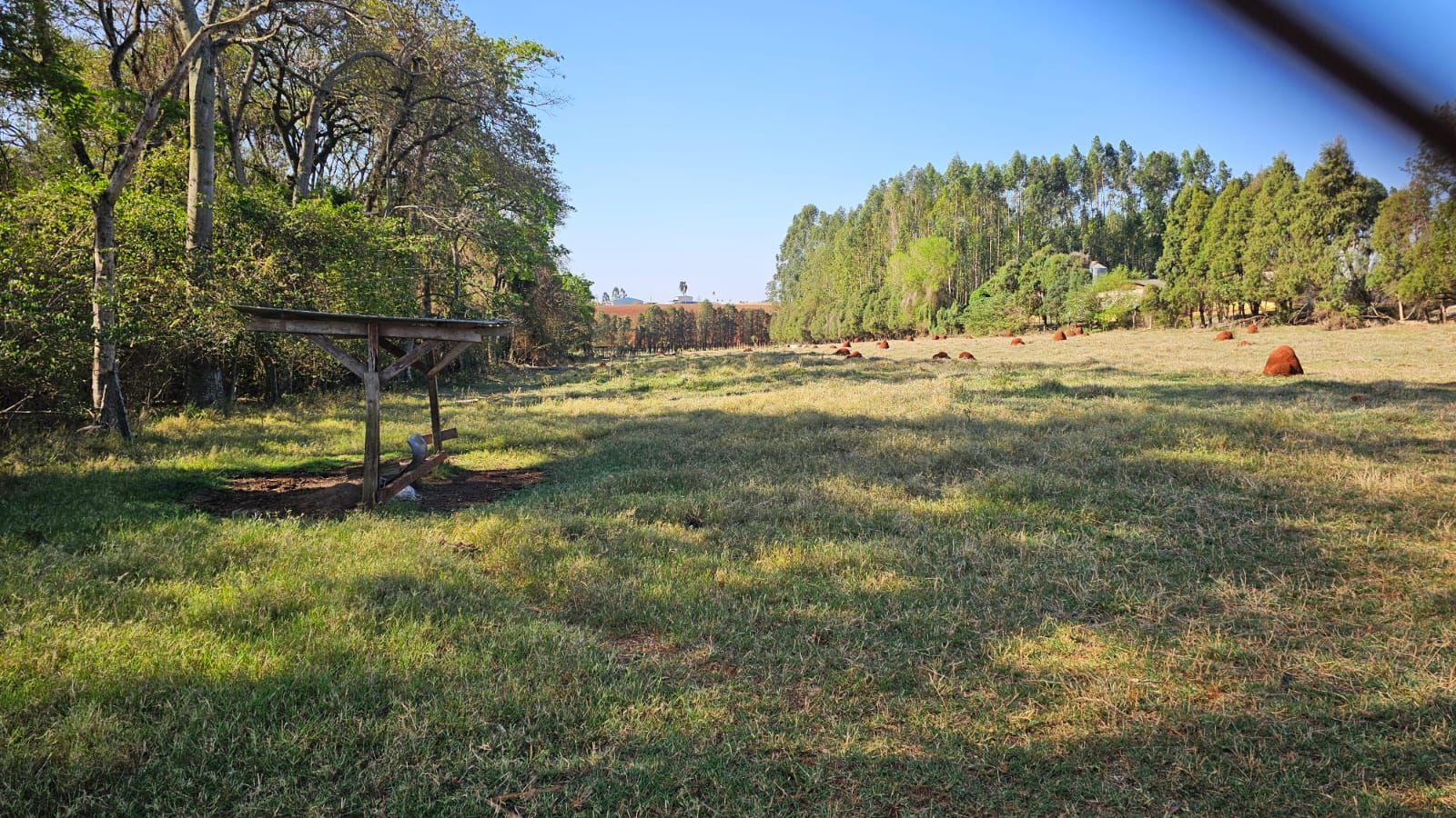 Haras e Área Rural Padrão à venda com 3 quartos, 96800M2 - Foto 26