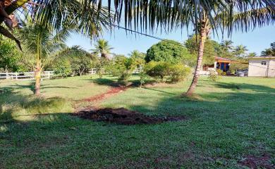 Fazenda à venda com 2 quartos, 24000m² - Foto 10