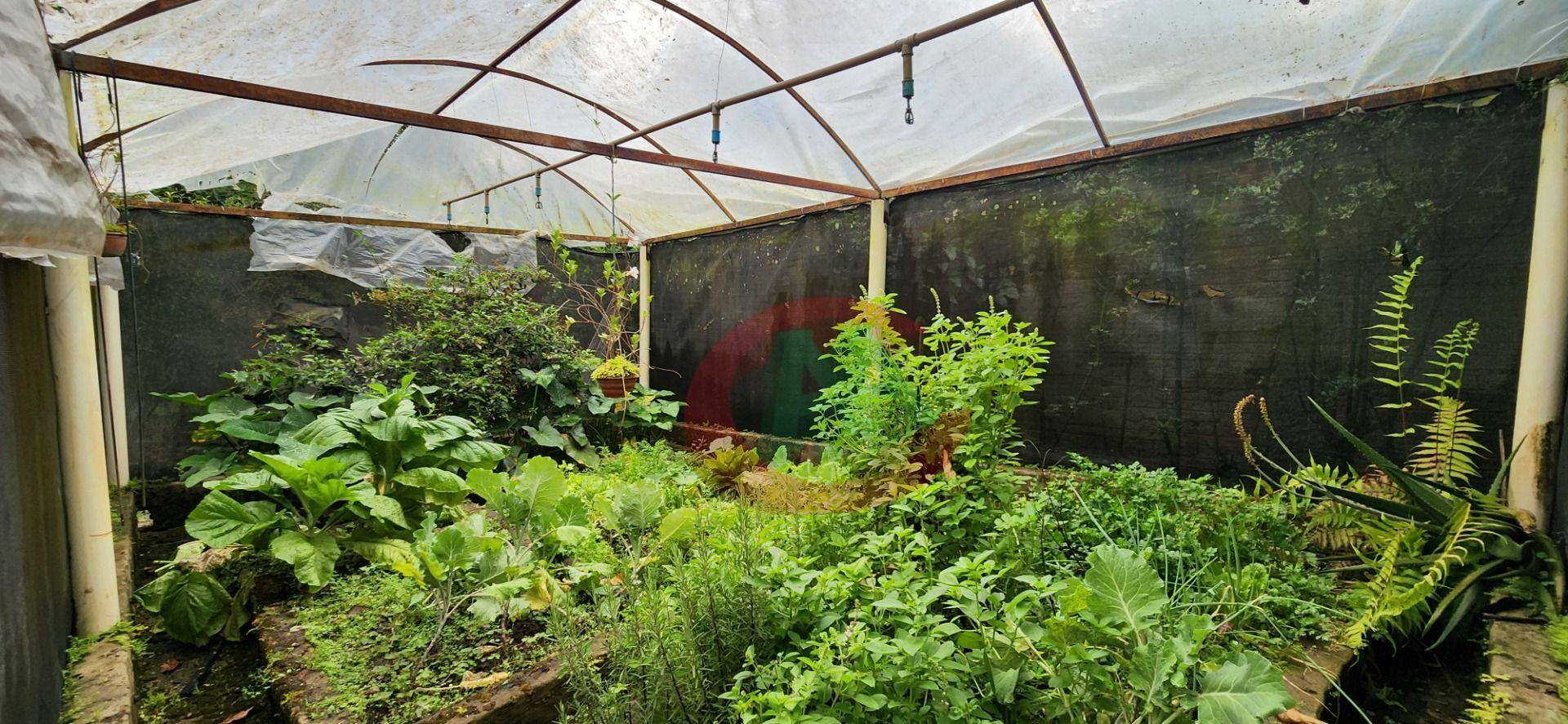 Chácara, 8 quartos, 5000 m² - Foto 46