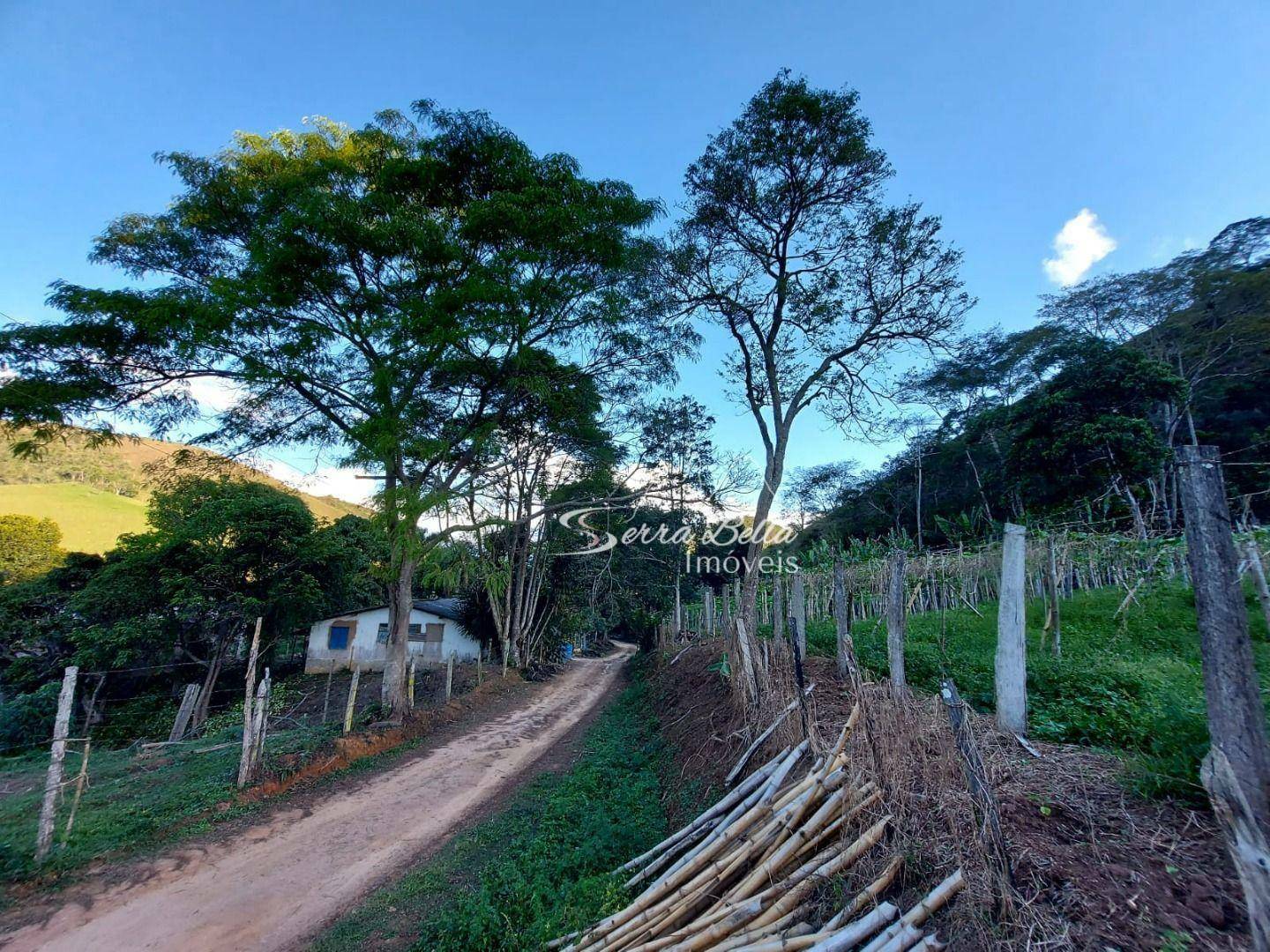 Fazenda à venda com 3 quartos, 580800M2 - Foto 1