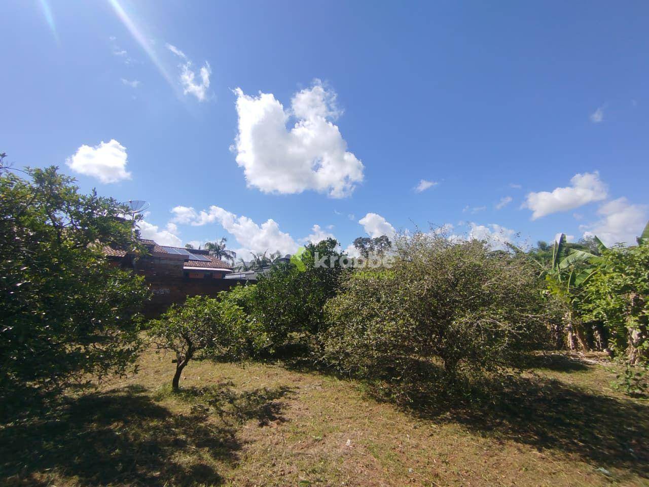 Terreno, 301 m² - Foto 6