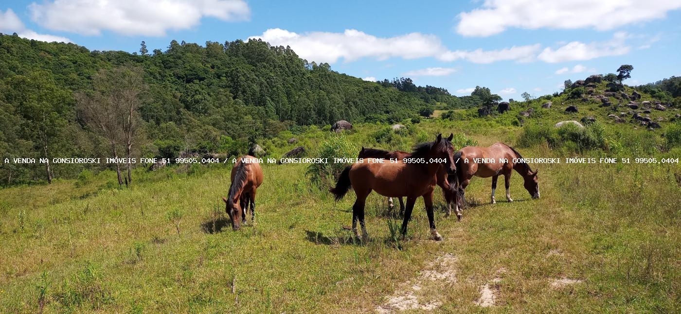 Fazenda à venda com 2 quartos, 600000m² - Foto 42