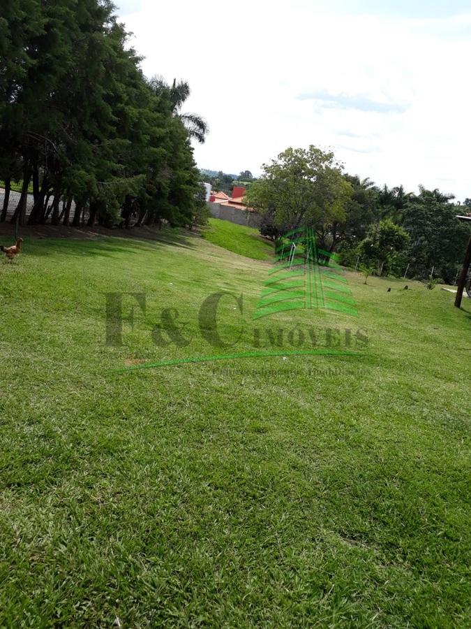 Fazenda à venda com 2 quartos, 5000m² - Foto 11