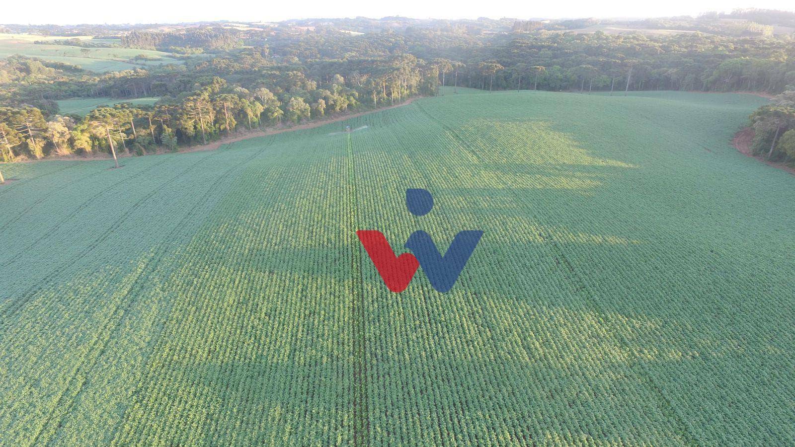 Fazenda à venda com 3 quartos, 1694000M2 - Foto 46