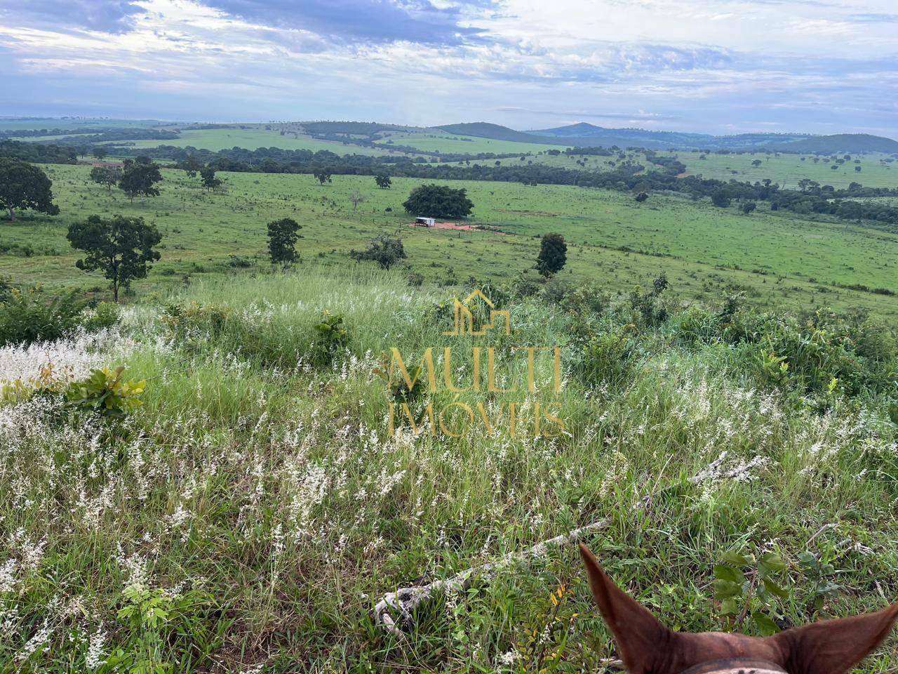 Fazenda à venda com 3 quartos, 10360000M2 - Foto 4